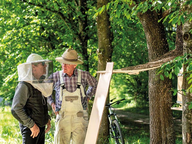 Peter Maffay und ein weiterer Mann beobachten Bienenschwarm auf Gut Dietlhofen